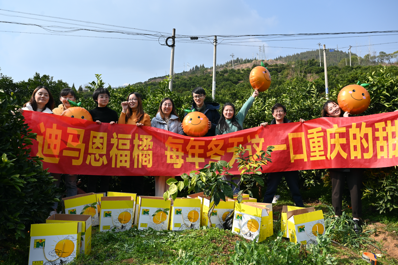 迪马股份入选全国工商联“ESG指数领先的50家民营上市公司”_中国网地产